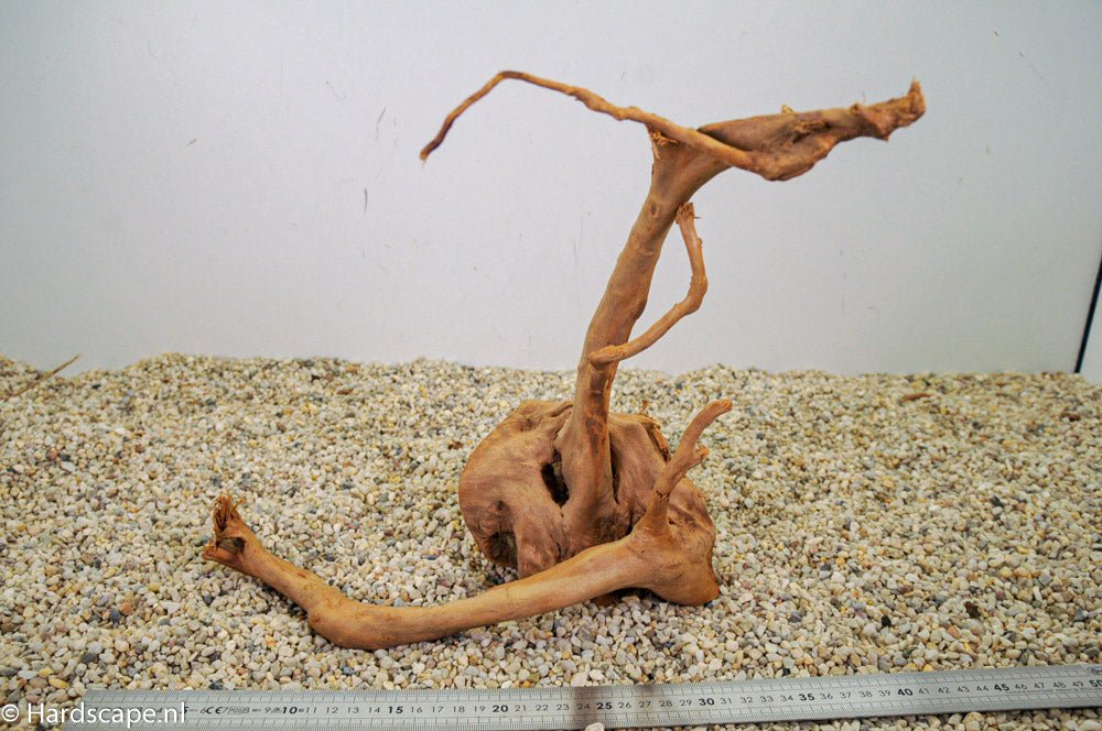 Spiderwood L95 - Hardscape.nl