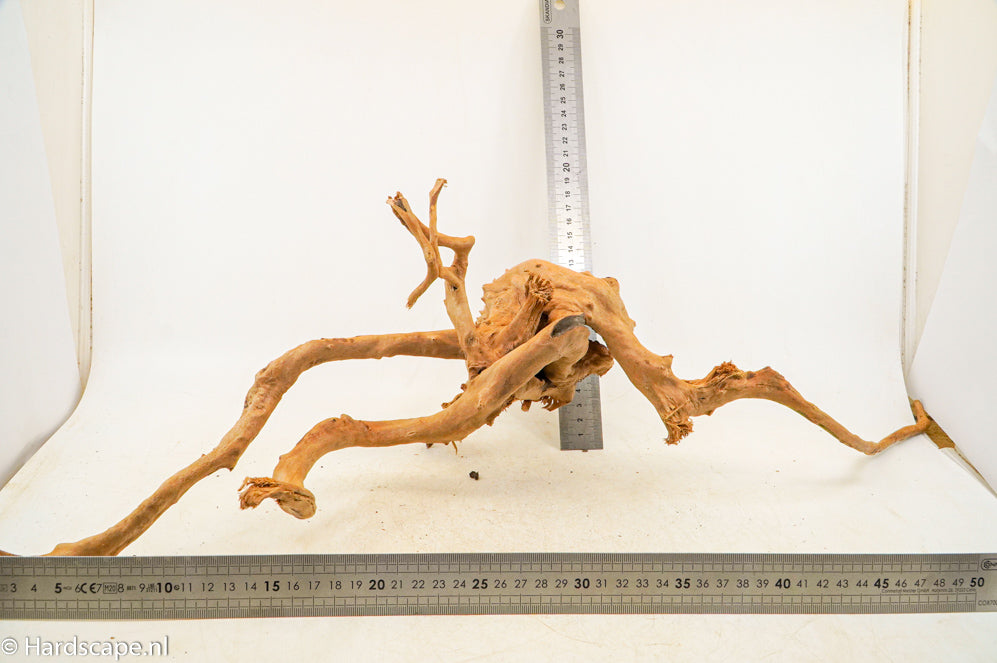 Spiderwood L97 - Hardscape.nl