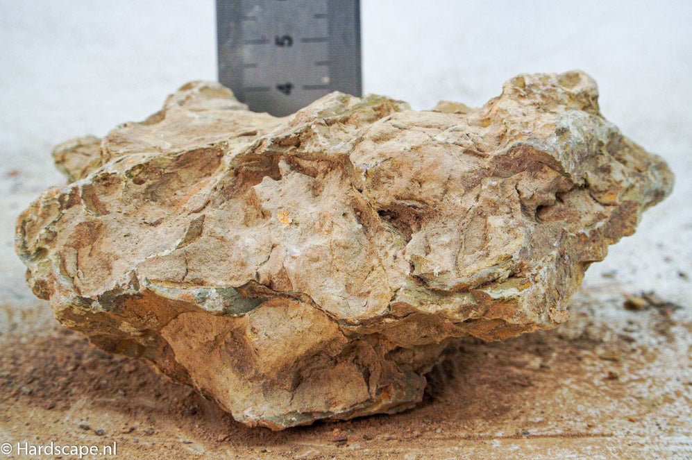 Dragon Stone M289 - Hardscape.nl
