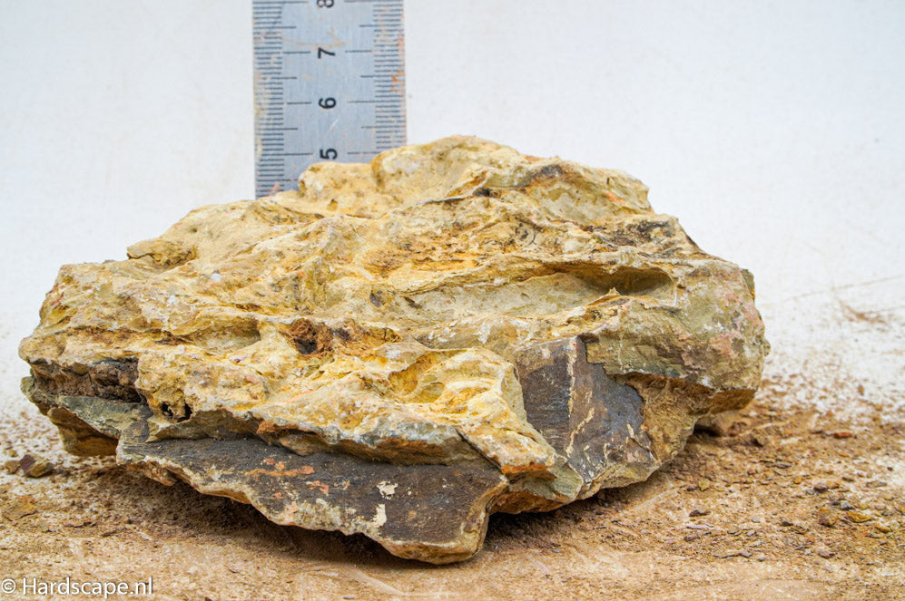 Dragon Stone M307 - Hardscape.nl