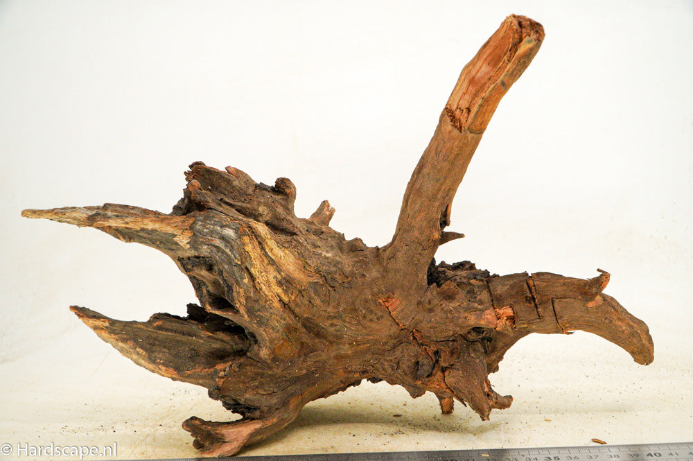 Driftwood M100 - Hardscape.nl