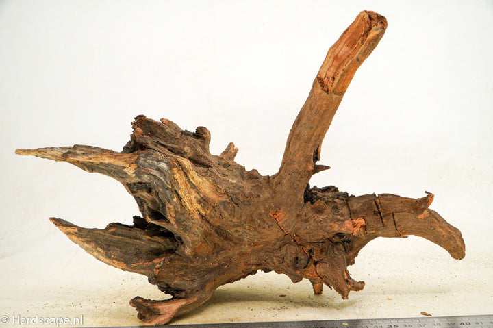 Driftwood M100 - Hardscape.nl