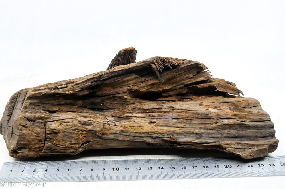 Driftwood M40 - Hardscape.nl