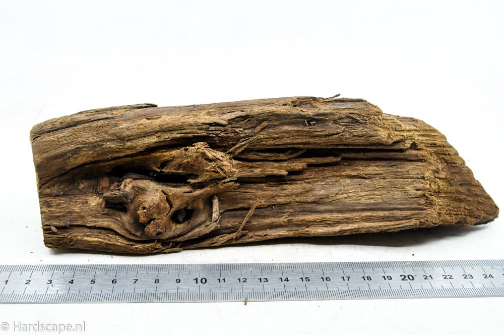 Driftwood M41 - Hardscape.nl
