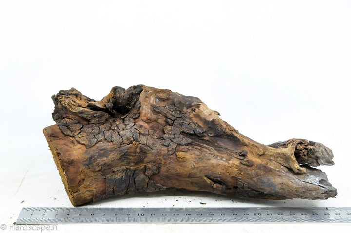 Driftwood M44 - Hardscape.nl