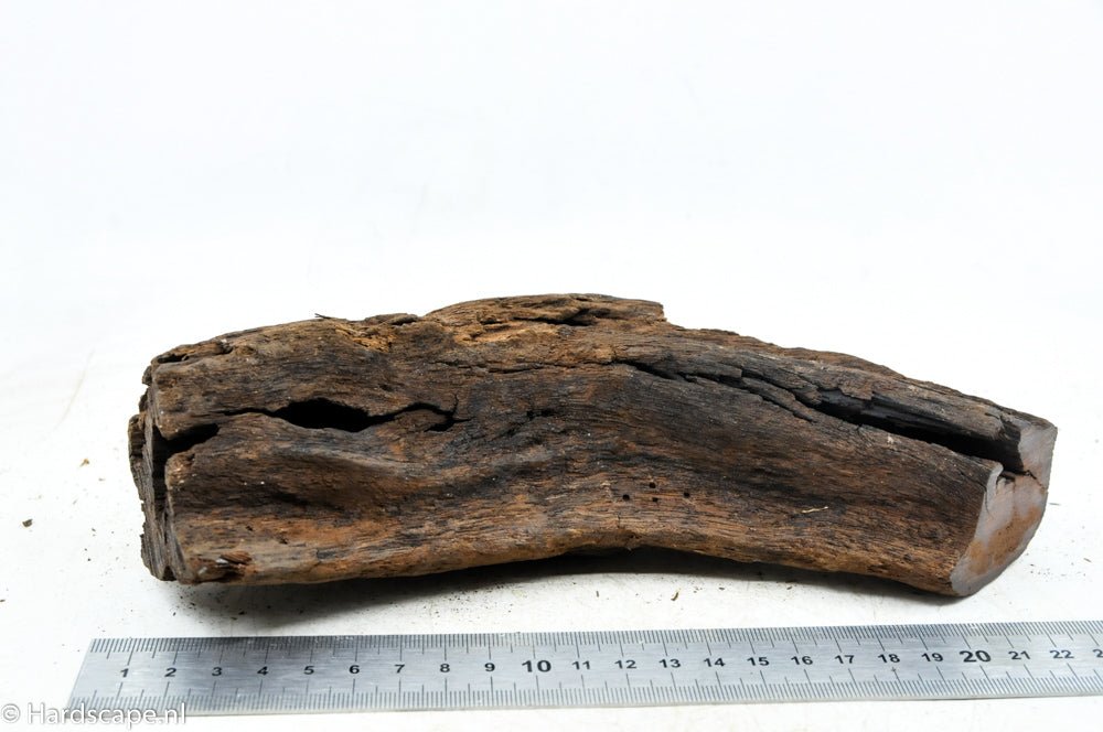 Driftwood M53 - Hardscape.nl