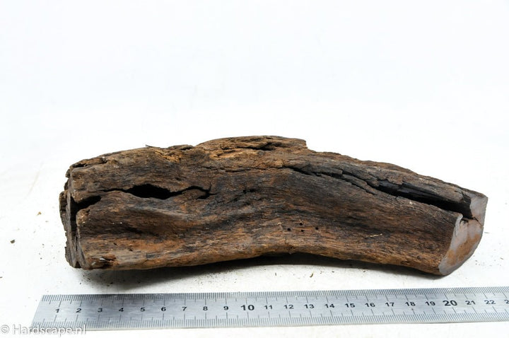 Driftwood M53 - Hardscape.nl