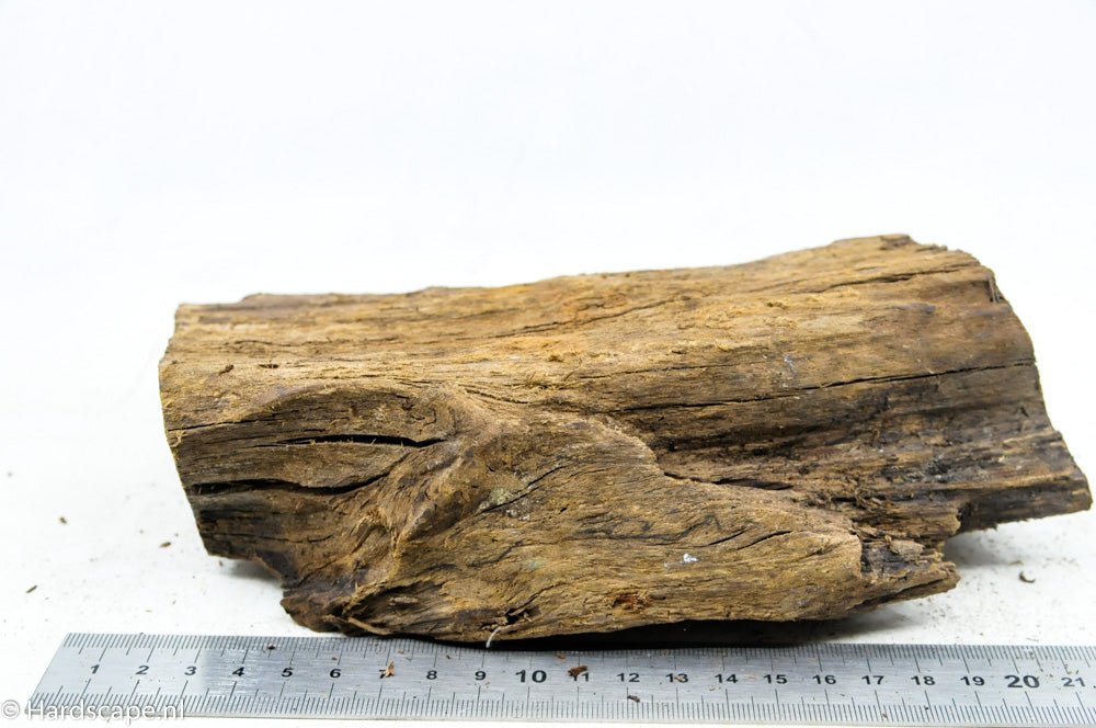 Driftwood M65 - Hardscape.nl