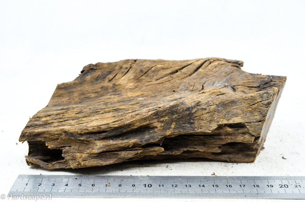 Driftwood M65 - Hardscape.nl