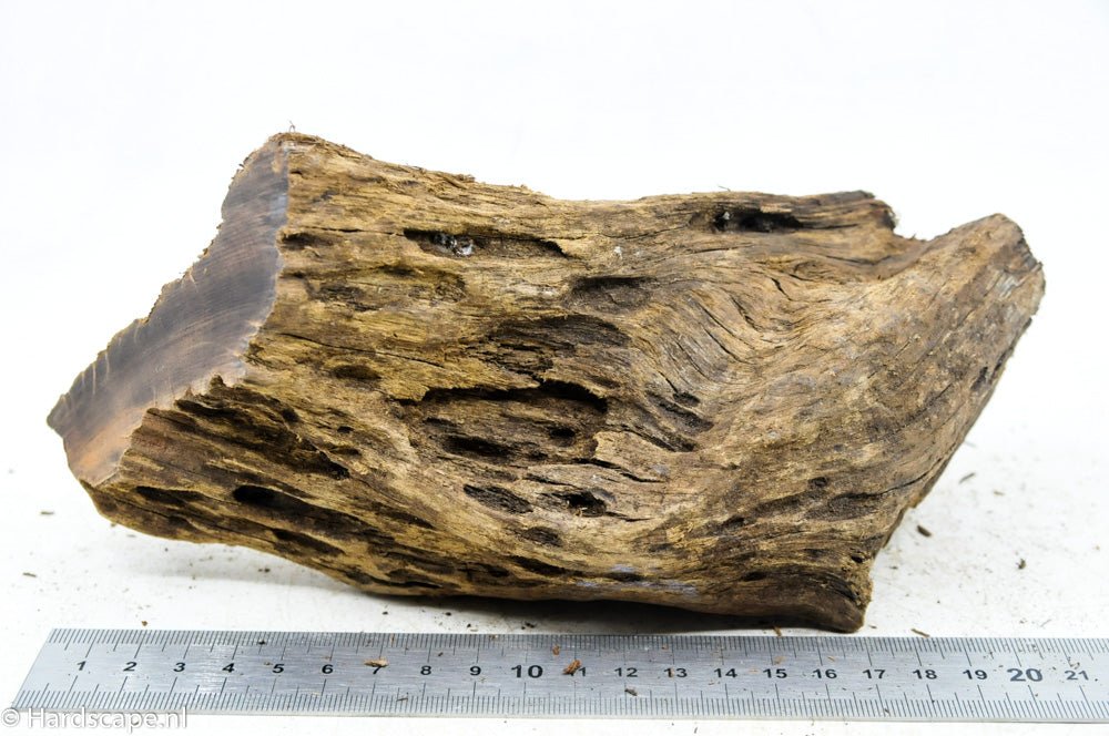Driftwood M69 - Hardscape.nl