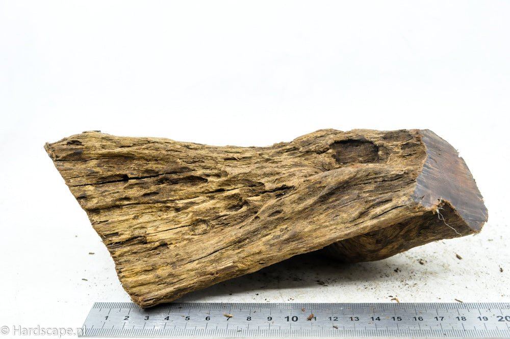 Driftwood M69 - Hardscape.nl
