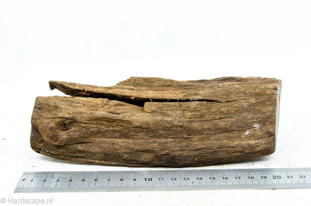 Driftwood M73 - Hardscape.nl