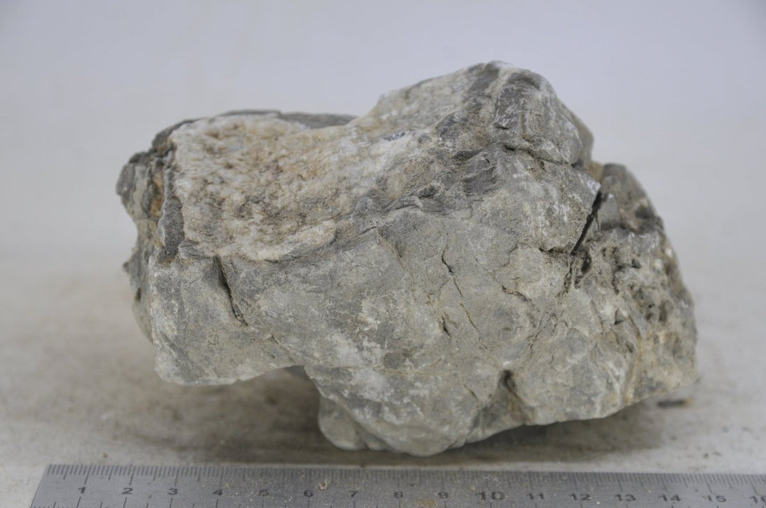 Elderly Rock M002 - Hardscape.nl