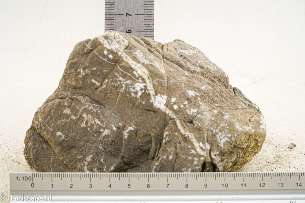 Elephant Skin Rock M120 - Hardscape.nl