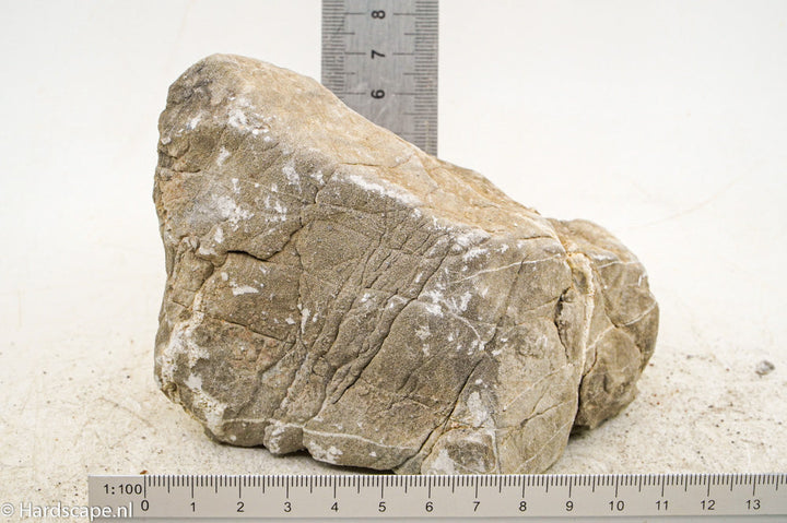 Elephant Skin Rock M120 - Hardscape.nl