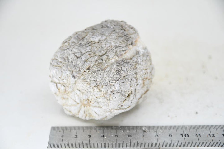 Elephant Skin Rock M28 - Hardscape.nl