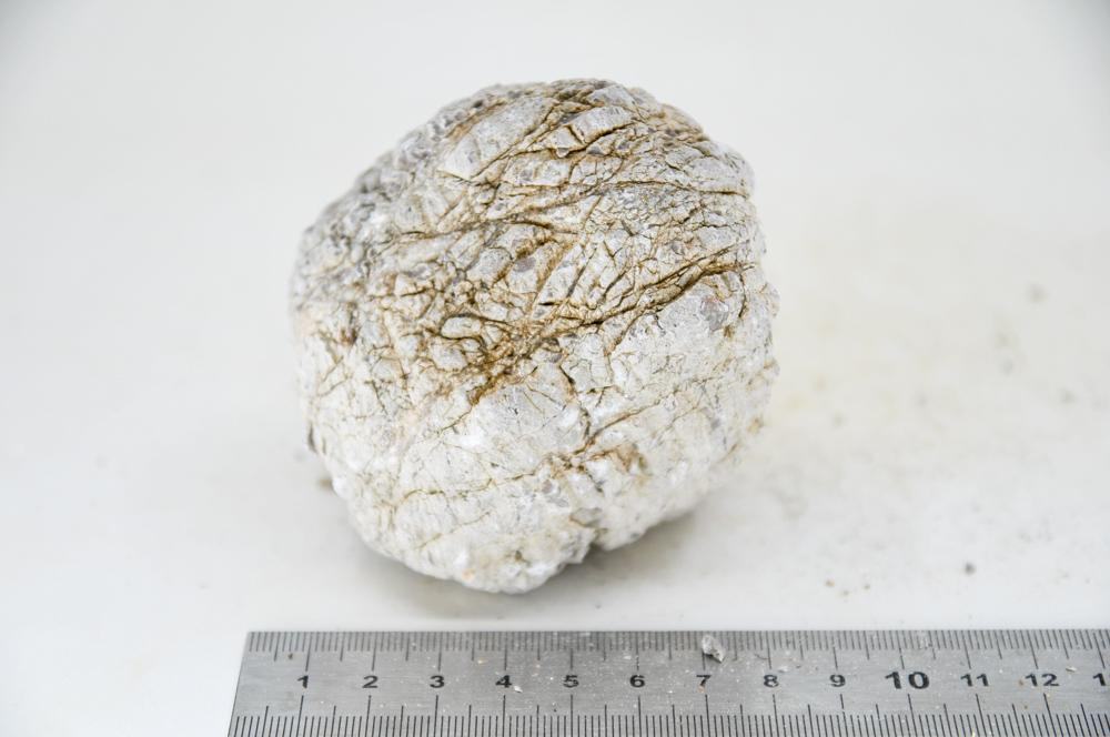 Elephant Skin Rock M28 - Hardscape.nl