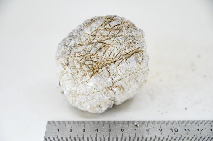 Elephant Skin Rock M28 - Hardscape.nl
