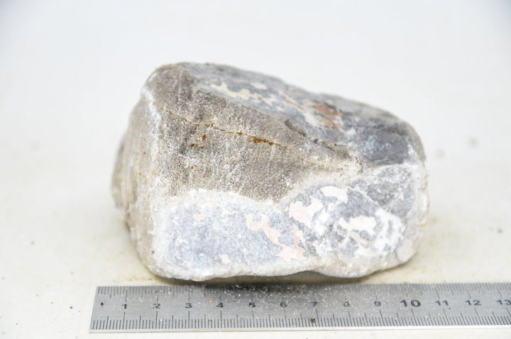 Elephant Skin Rock M42 - Hardscape.nl
