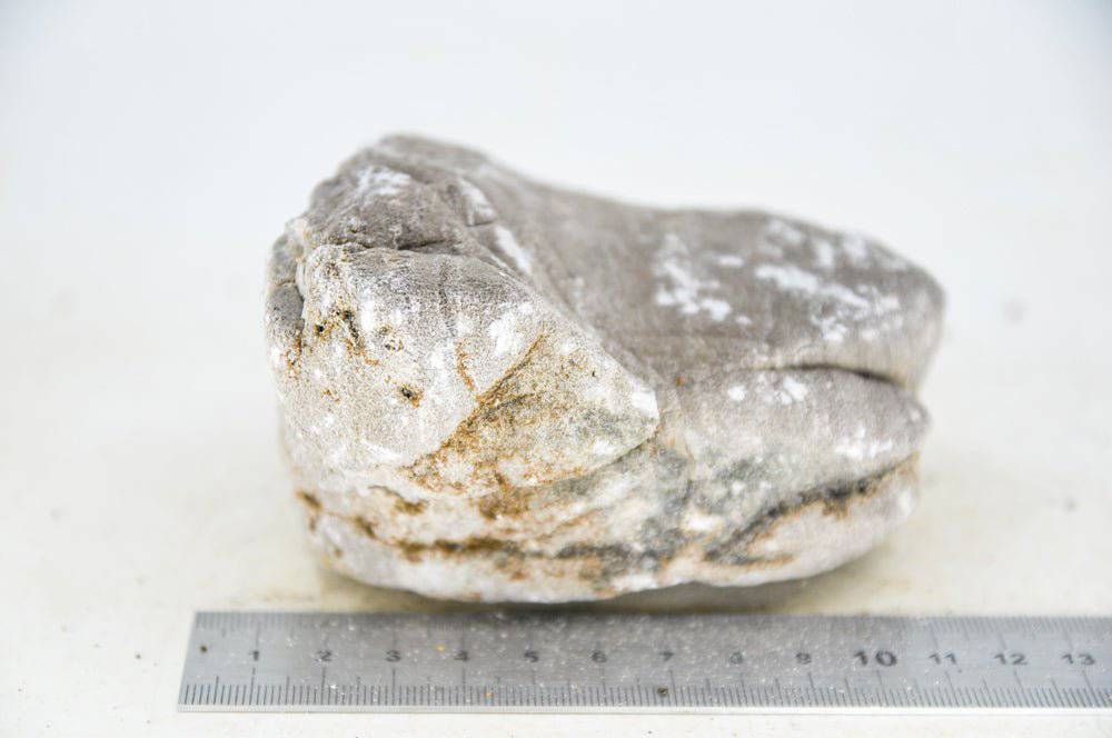 Elephant Skin Rock M42 - Hardscape.nl