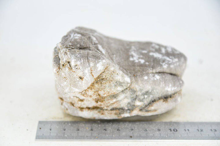 Elephant Skin Rock M42 - Hardscape.nl