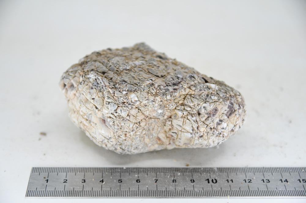 Elephant Skin Rock M6 - Hardscape.nl