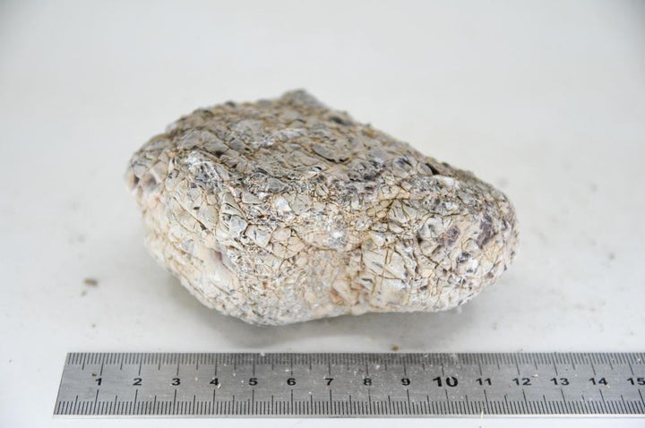 Elephant Skin Rock M6 - Hardscape.nl