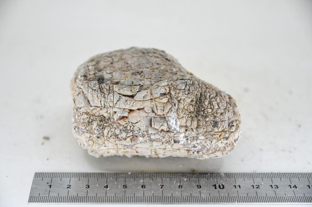 Elephant Skin Rock M6 - Hardscape.nl