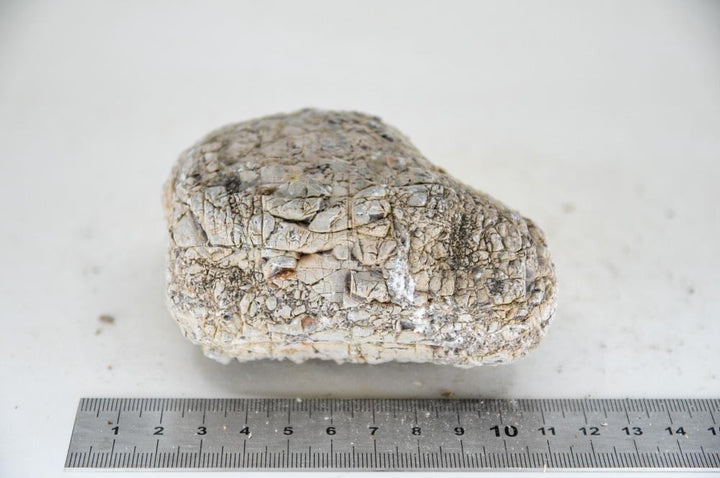 Elephant Skin Rock M6 - Hardscape.nl