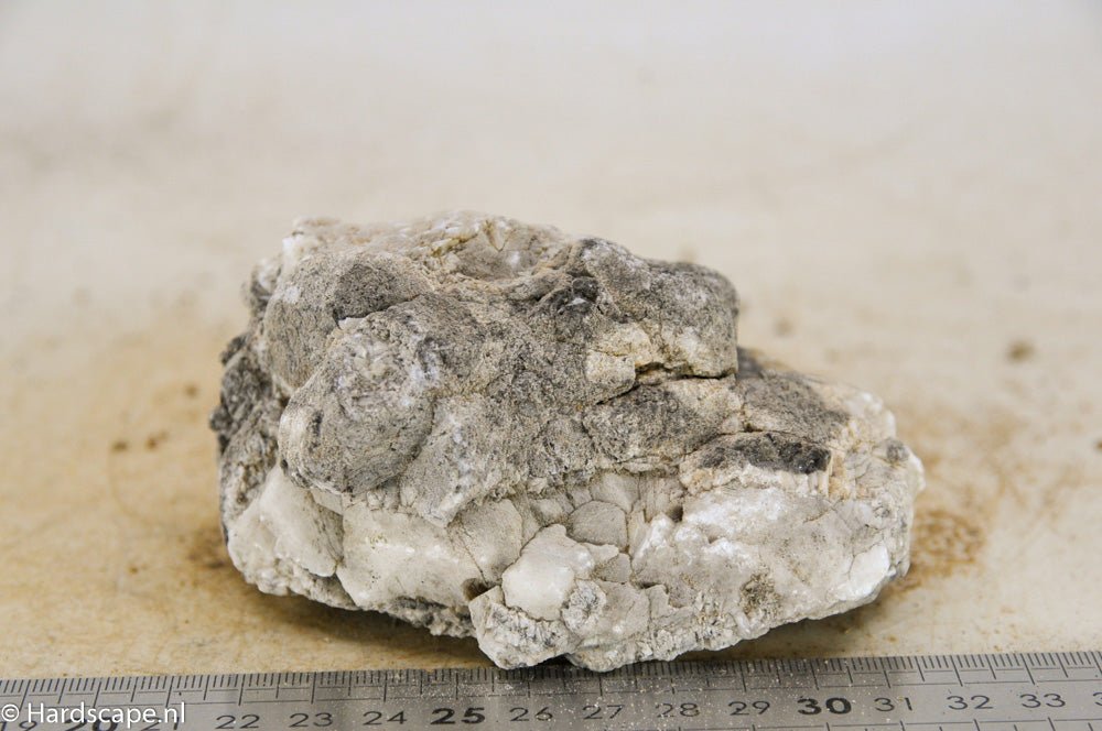 Elephant Skin Rock M85 - Hardscape.nl