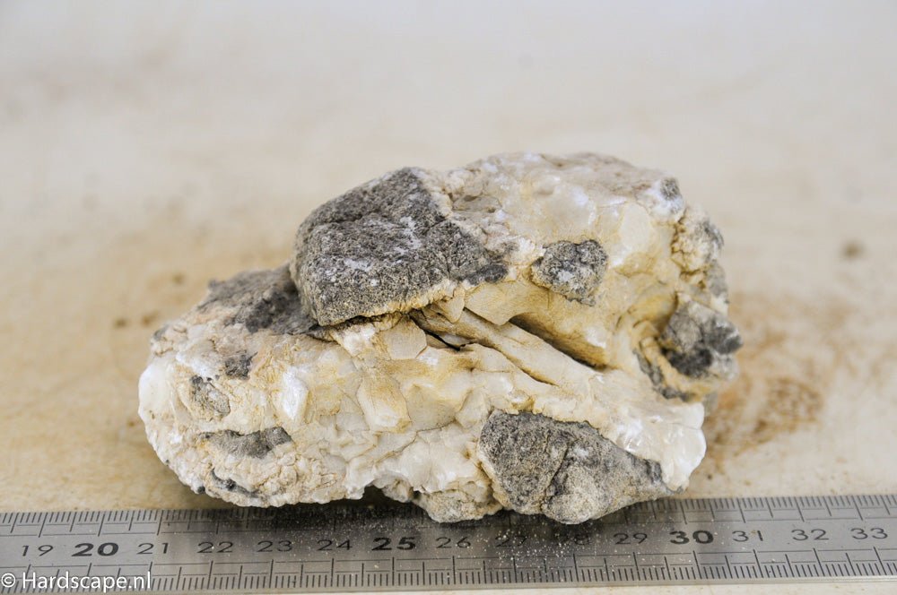 Elephant Skin Rock M85 - Hardscape.nl