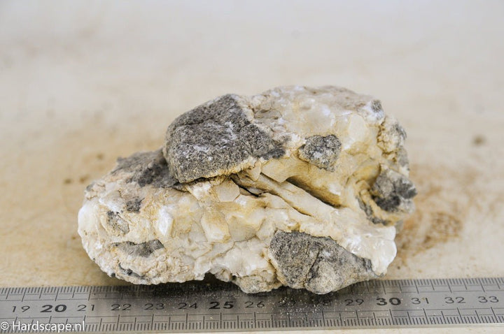 Elephant Skin Rock M85 - Hardscape.nl