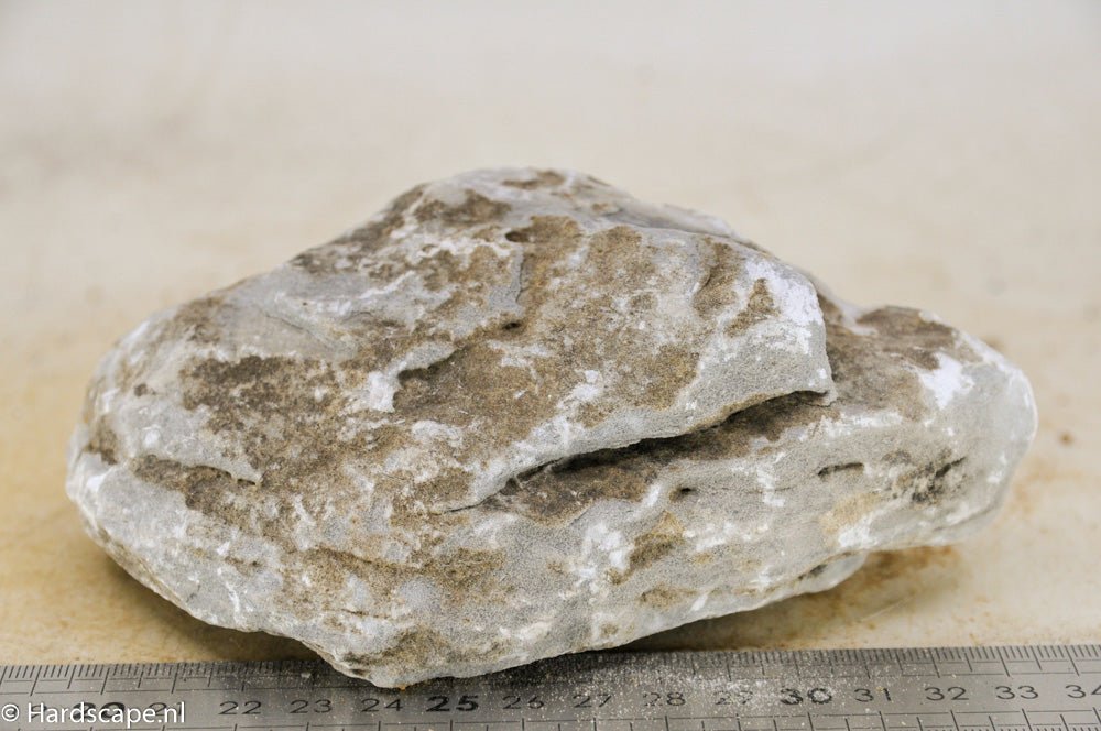 Elephant Skin Rock M86 - Hardscape.nl