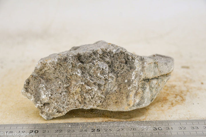 Elephant Skin Rock M92 - Hardscape.nl