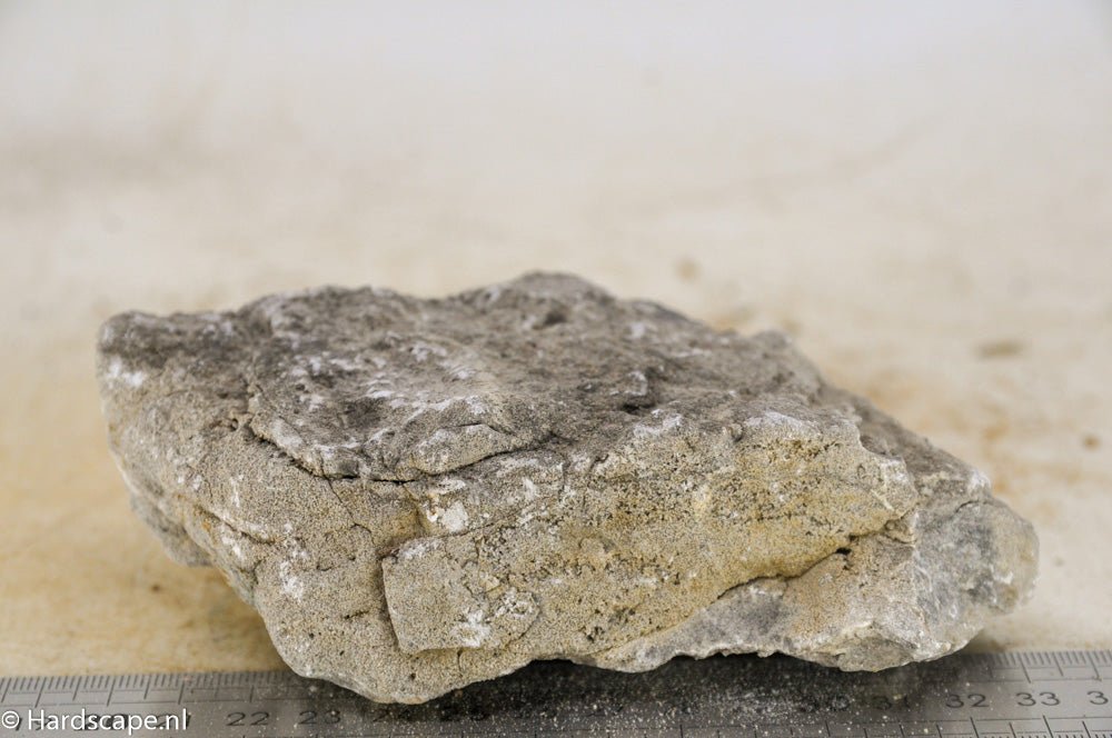 Elephant Skin Rock M92 - Hardscape.nl
