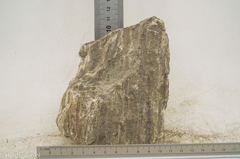 Glimmer Wood Rock M100 - Hardscape.nl