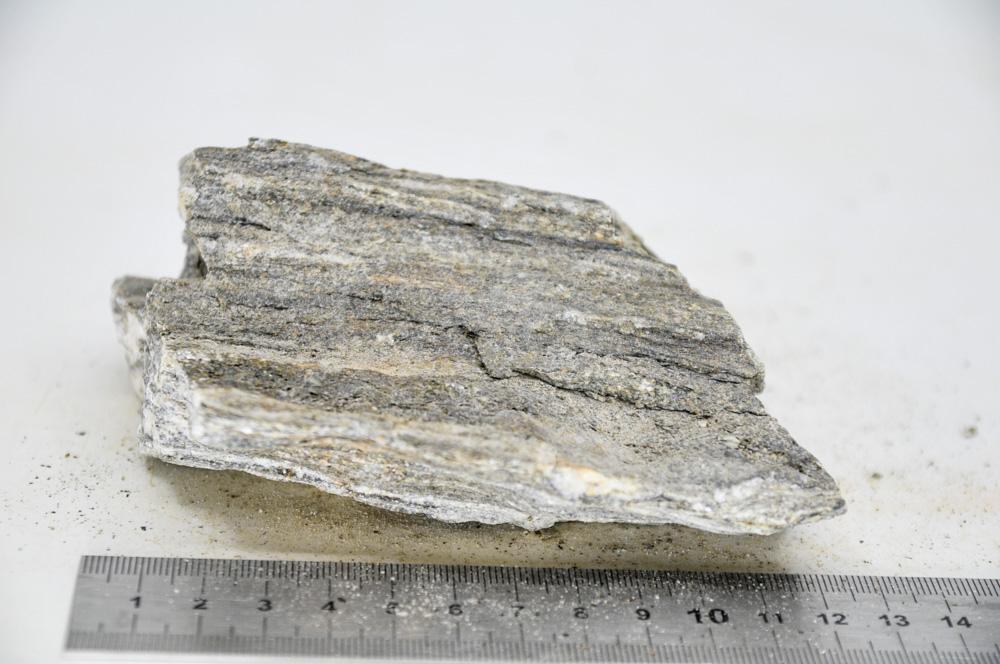 Glimmer Wood Rock M15 - Hardscape.nl