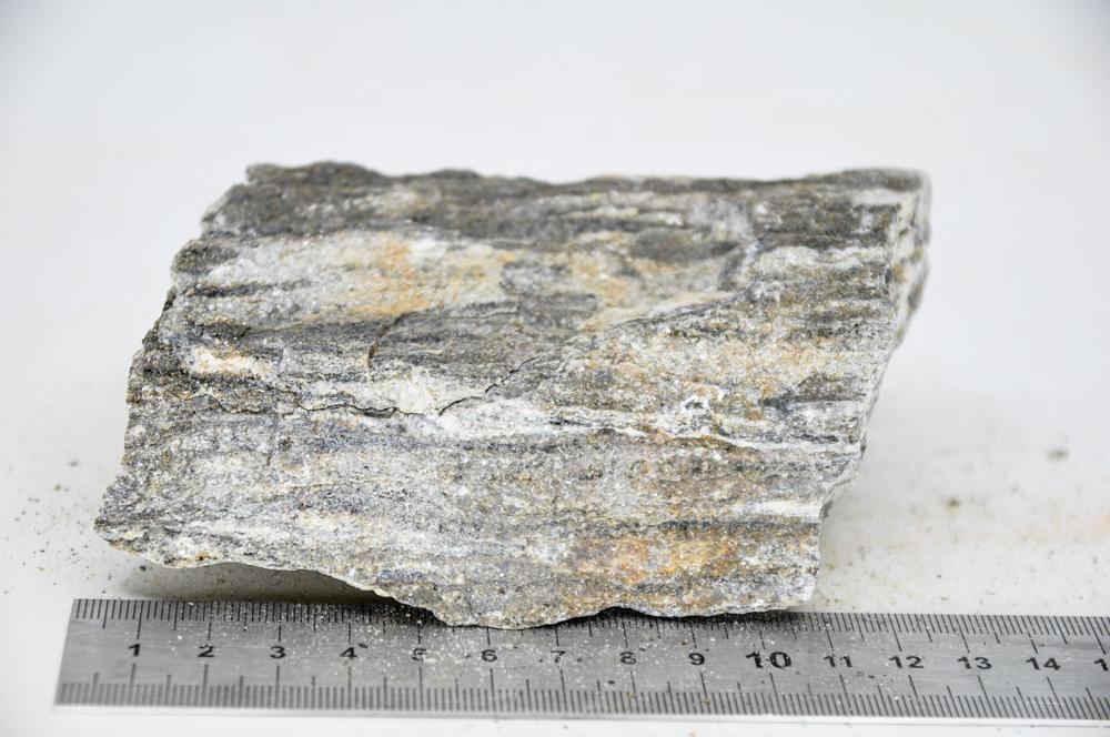 Glimmer Wood Rock M15 - Hardscape.nl