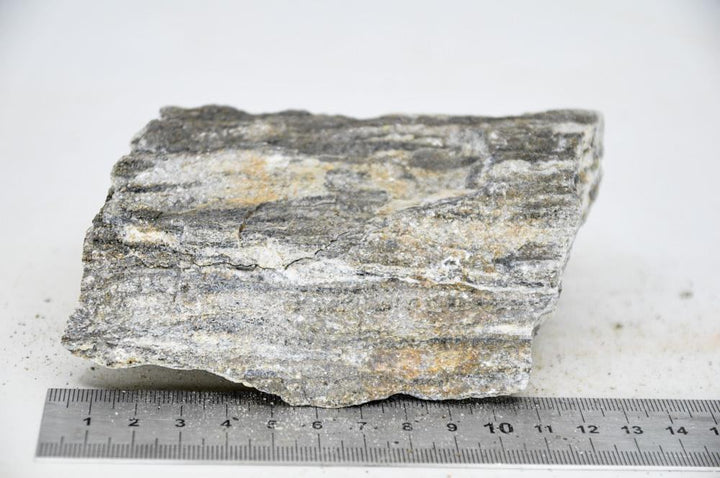 Glimmer Wood Rock M15 - Hardscape.nl