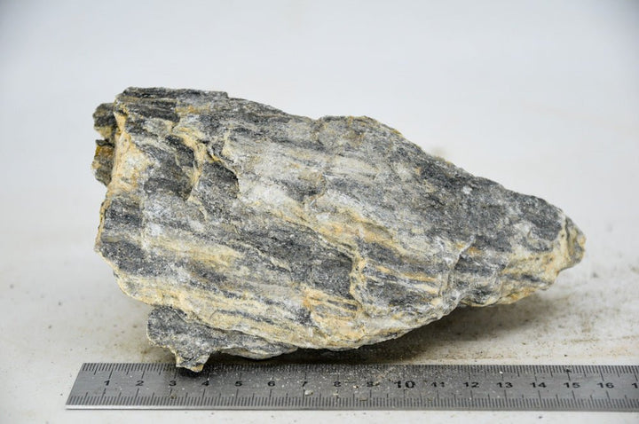 Glimmer Wood Rock M16 - Hardscape.nl