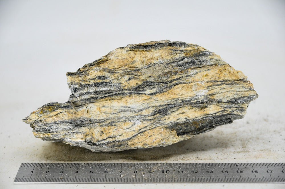 Glimmer Wood Rock M16 - Hardscape.nl