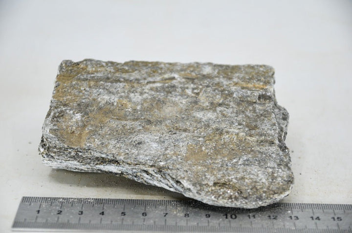 Glimmer Wood Rock M23 - Hardscape.nl