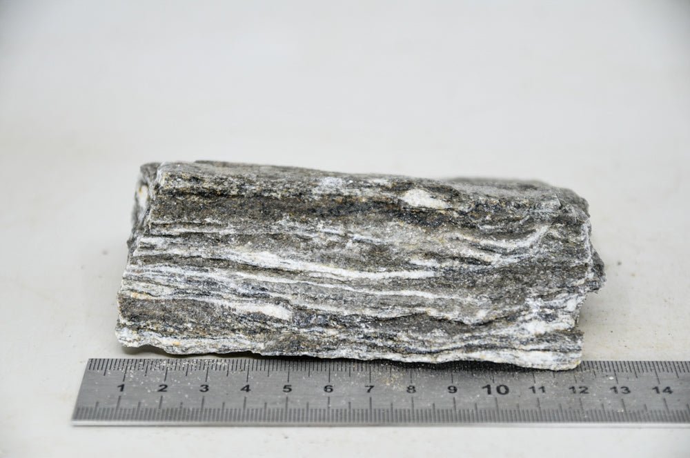 Glimmer Wood Rock M23 - Hardscape.nl