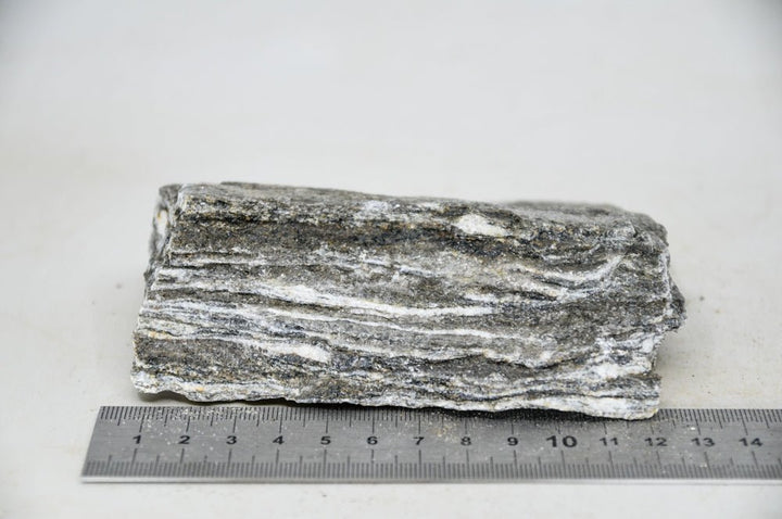 Glimmer Wood Rock M23 - Hardscape.nl