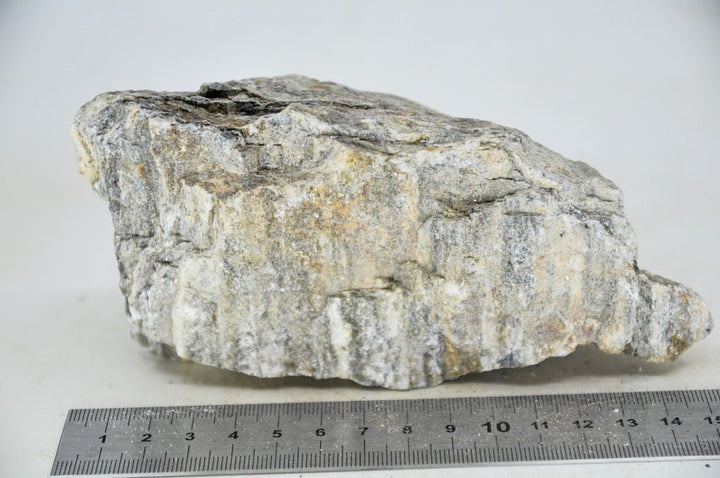 Glimmer Wood Rock M25 - Hardscape.nl