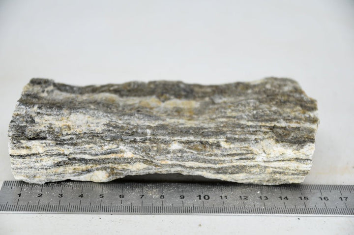 Glimmer Wood Rock M28 - Hardscape.nl