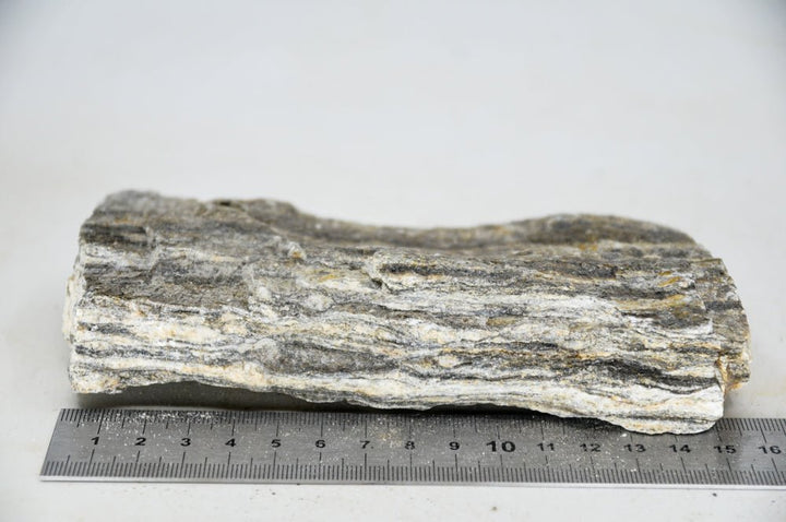 Glimmer Wood Rock M28 - Hardscape.nl