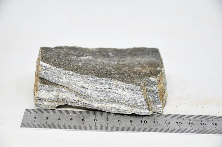 Glimmer Wood Rock M3 - Hardscape.nl