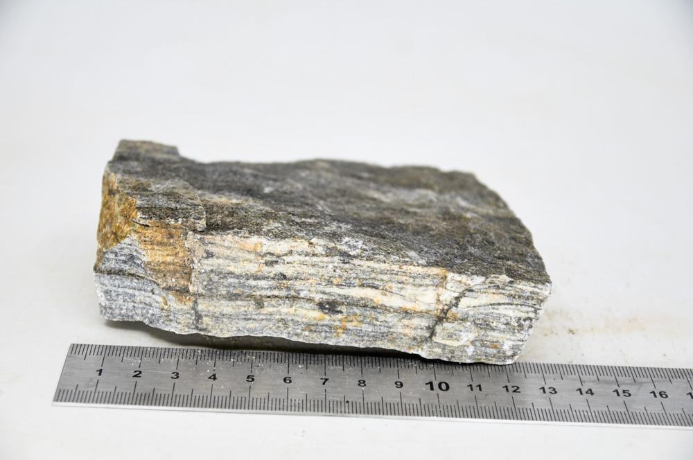 Glimmer Wood Rock M3 - Hardscape.nl
