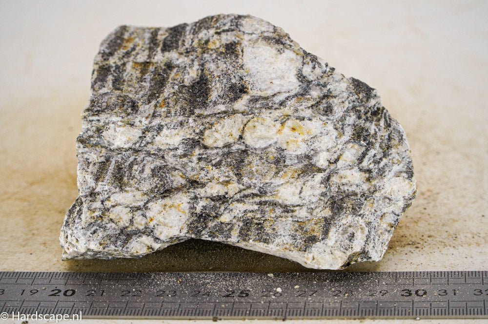 Glimmer Wood Rock M33 - Hardscape.nl